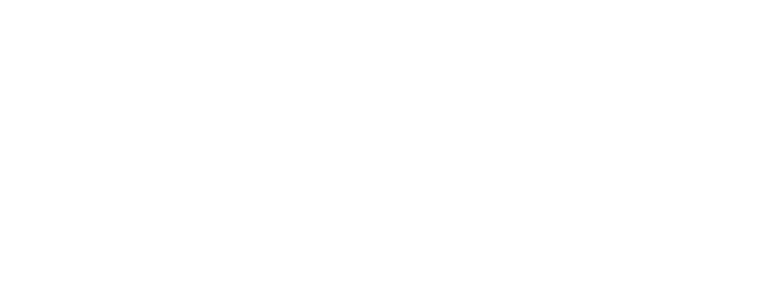 FERGUSON